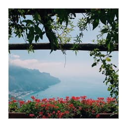 Your Body Is Your Temple - Pilates Studio