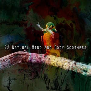22 Natural Mind And Body Soothers - Sounds of Nature Relaxation