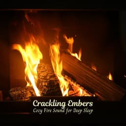 Crackling Embers: A Cozy Fire Sound for Deep Sleep - Fire Place Sounds