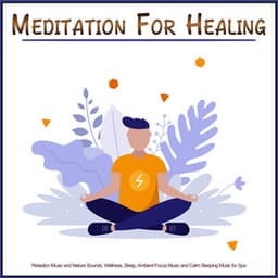 Meditation For Healing: Relaxtion Music and Nature Sounds, Wellness, Sleep, Ambient Focus Music and Calm Sleeping Music for Spa - Meditation Music For Sleep