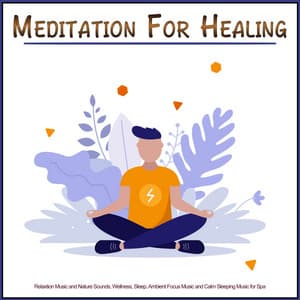 Meditation For Healing: Relaxtion Music and Nature Sounds, Wellness, Sleep, Ambient Focus Music and Calm Sleeping Music for Spa - Meditation Music For Sleep