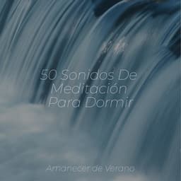 50 Sonidos De Meditación Para Dormir - Meditar Profundamente