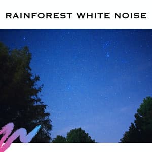Rainforest White Noise - Serene Rose
