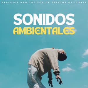 Sonidos Ambientales: Reflejos Meditativos De Efectos De Lluvia - Alinear Chakras