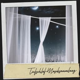 Tiefschlaf-Musiksammlung: Wiegenlieder aus dem mondbeschienenen Garten - Relajacion