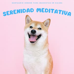 Santuario Sereno Para Mascotas En Calma: Serenidad Meditativa - Música Relajante New Age Culture