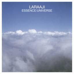 Essence/Universe - Laraaji