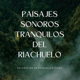 Paisajes Sonoros Tranquilos Del Riachuelo: Ensoñación De Relajación - Rios y corrientes