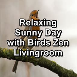 Relaxing Sunny Day with Birds Zen Livingroom - Bird Sounds