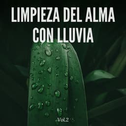 Limpieza del alma con lluvia Vol.2 - Sonidos de la Naturaleza JBE