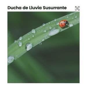 Ducha de Lluvia Susurrante - Sonidos De Lluvia