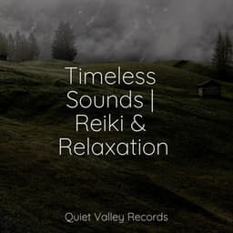 Timeless Sounds | Reiki & Relaxation - Bedtime Baby