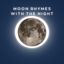 Moon Rhymes With The Night - Baby Mozart