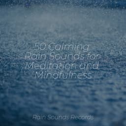 50 Calming Rain Sounds for Meditation and Mindfulness - Forest Sounds