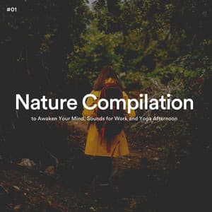 #01 Nature Compilation to Awaken Your Mind, Sounds for Work and Yoga Afternoon - The Nature Soundscapes