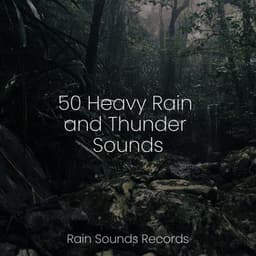 50 Heavy Rain and Thunder Sounds - Calm Music for Studying