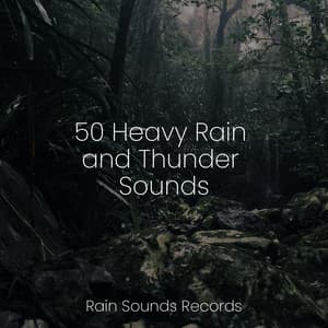 50 Heavy Rain and Thunder Sounds - Calm Music for Studying