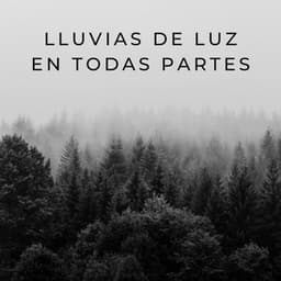 Lluvias De Luz En Todas Partes - Lluvia Soundzzz Club