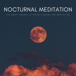 Nocturnal Meditation: The Sweet Sounds Of Water Streams For Meditation - Stardust Vibes