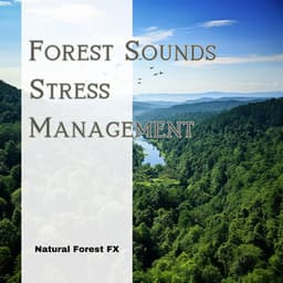 Forest Sounds: Stress Management - Natural Forest FX
