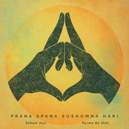 Prana Apana Sushumna Hari - Soham Hari