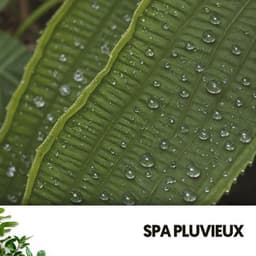 Spa Pluvieux : Sommeil Liquide - Relajacion
