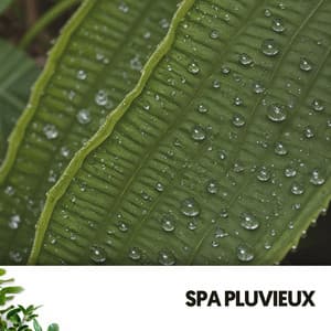 Spa Pluvieux : Sommeil Liquide - Relajacion