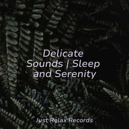 Delicate Sounds | Sleep and Serenity - Meditation Awareness