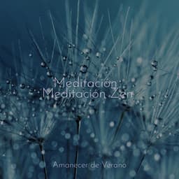 Meditación Meditación Zen - Sonidos De Truenos y Lluvia