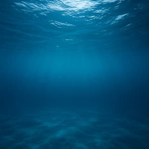 10PM Water Journeys: Ambient Blue - Seascapers