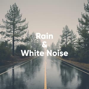 Rain and White Noise - Rain Noise Collectors