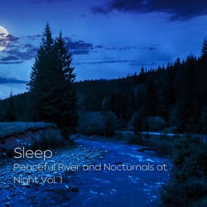Sleep: Peaceful River and Nocturnals at Night Vol. 1 - Sleep Music Playlist