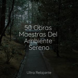 50 Obras Maestras Del Ambiente Sereno - Sonidos de la Naturaleza para Dormir