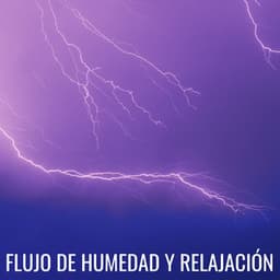 Flujo De Humedad Y Relajación - Grabación de lluvia