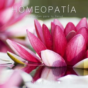 Homeopatía - Música Zen para tu Salud - Deep Sleep Band
