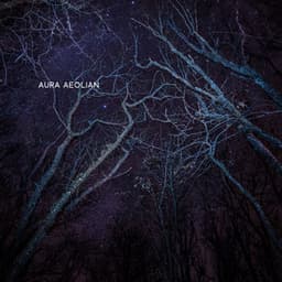 Veins of Velvet Midnight - Aura Aeolian