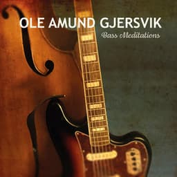 Bass Meditations - Ole Amund Gjersvik