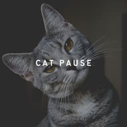 Cat Pause - Music for Cats Peace