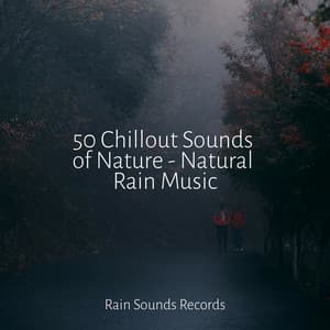 50 Chillout Sounds of Nature - Natural Rain Music - Sleepy Night Music