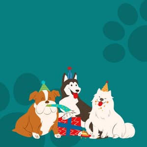 Wagging Tunes: A Symphony in Music for Dogs - Zone Out