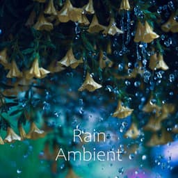 #1 Sleep Collection: Relaxing Rain Sounds and Underwater Dripping - Deep Sleep Nature Sounds