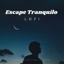 Escape Tranquilo Lofi: Melodías Calmantes Para La Relajación - Lofiwaala