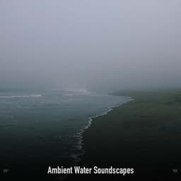 !!!!" Ambient Water Soundscapes "!!!! - Ocean Waves