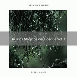 1 Ruidos Mágicos del Bosque vol. 2 - Sonidos de la Naturaleza para Dormir