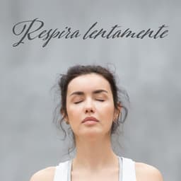 Respira lentamente - Relax ambientale musica zen club