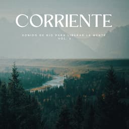 Corriente: Sonido De Río Para Liberar La Mente Vol. 1 - Sonidos de agua y río