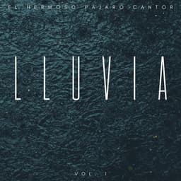 Lluvia: El Hermoso Pájaro Cantor Vol. 1 - Lloviendo Relajante