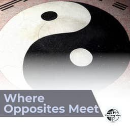 Where Opposites Meet - Yin Yang Man