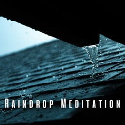 Raindrop Meditation: Serene Rain and Binaural Sounds - Meditation Rain Sounds