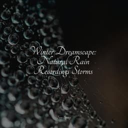 50 Essential Summer Rain Sounds - Natureza Musica Bem-Estar Academia